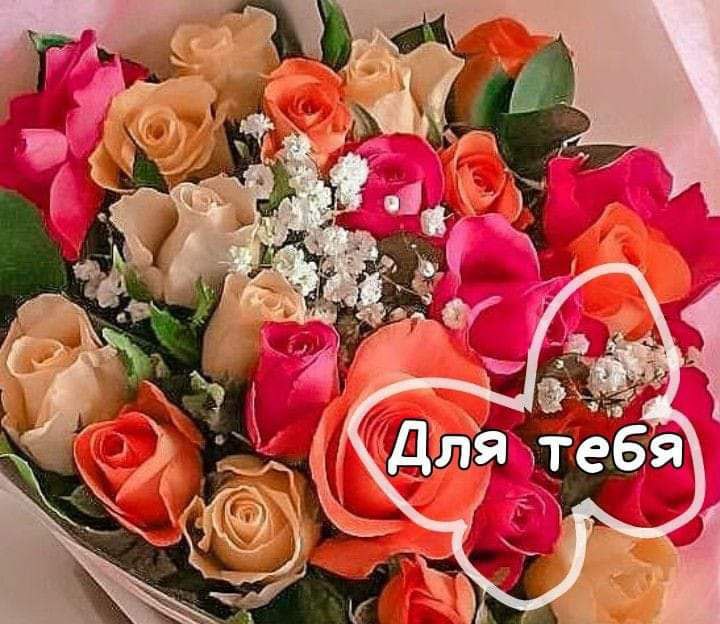 Вітаємо Директора з Днем народження!